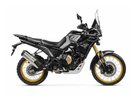DS800X RALLY
